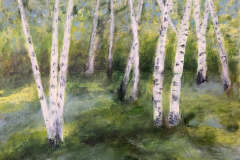 Birch