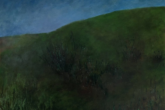 Grassy Knoll