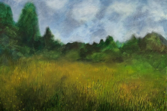 Meadow
